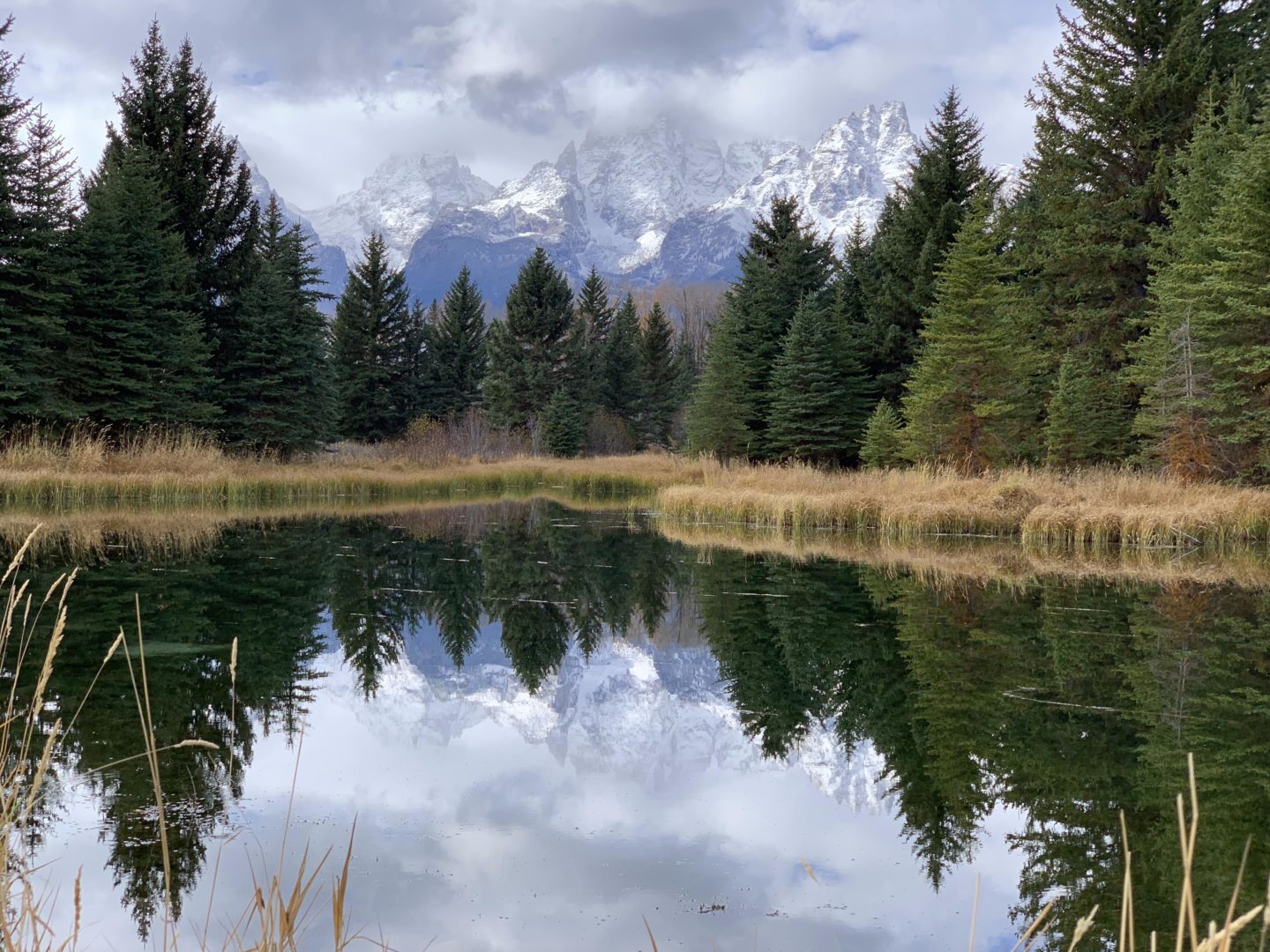Lake, Trees and Mountains