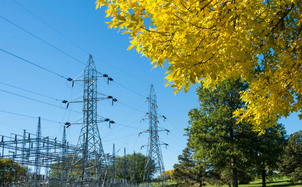 Power lines behind yellow and green trees.