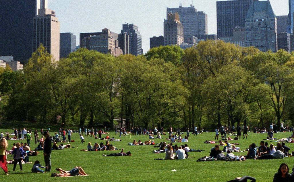 Various people sitting and enjoying a park in a city.