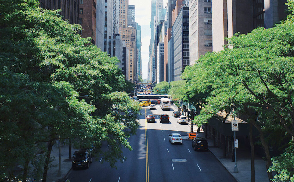 A tree lined city street. Cars down drive the street.